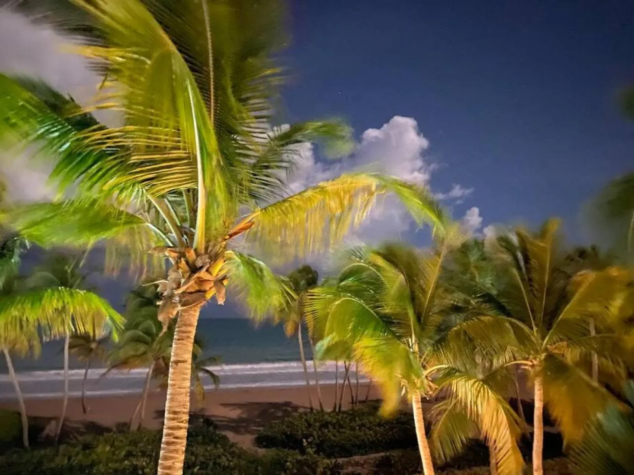 Luxury Beachfront 2 Bedroom At Wyndham Rio Mar, Pr Luquillo 0*,  Puerto Rico