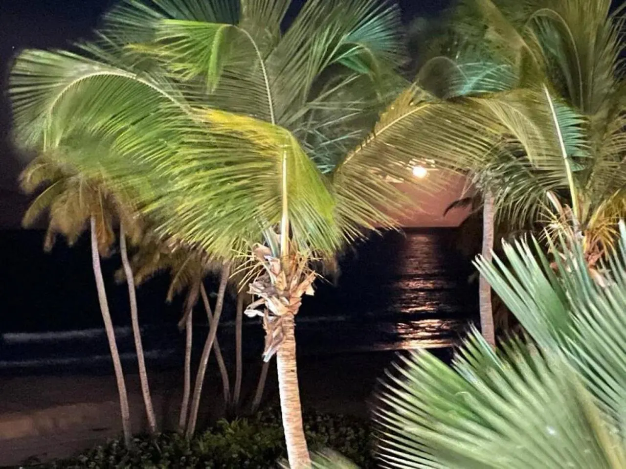 Luxury Beachfront 2 Bedroom At Wyndham Rio Mar, Pr Luquillo 0*,