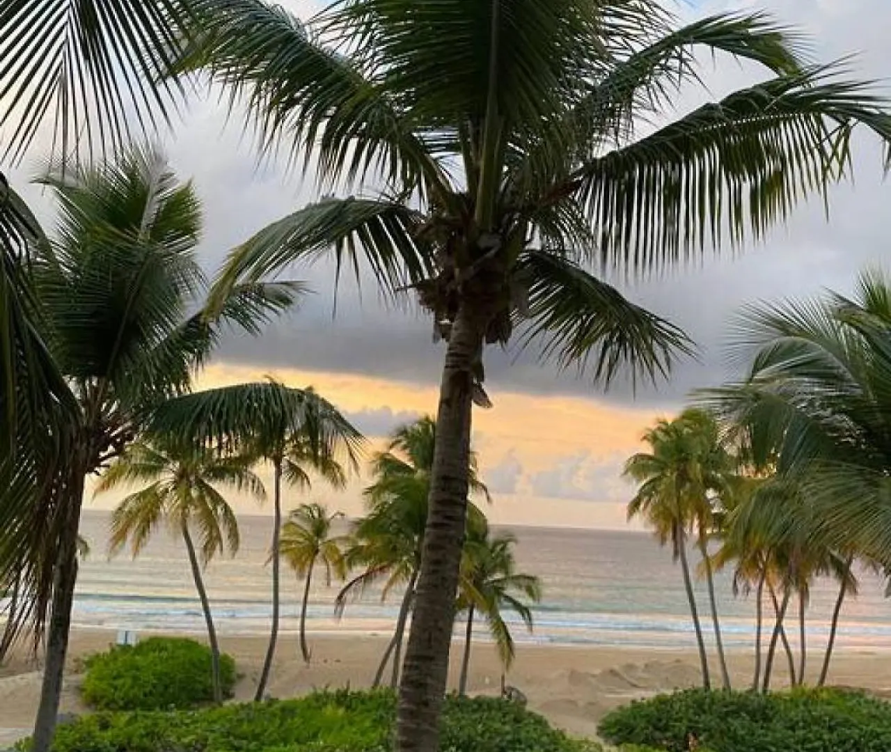 Luxury Beachfront 2 Bedroom At Wyndham Rio Mar, Pr Luquillo