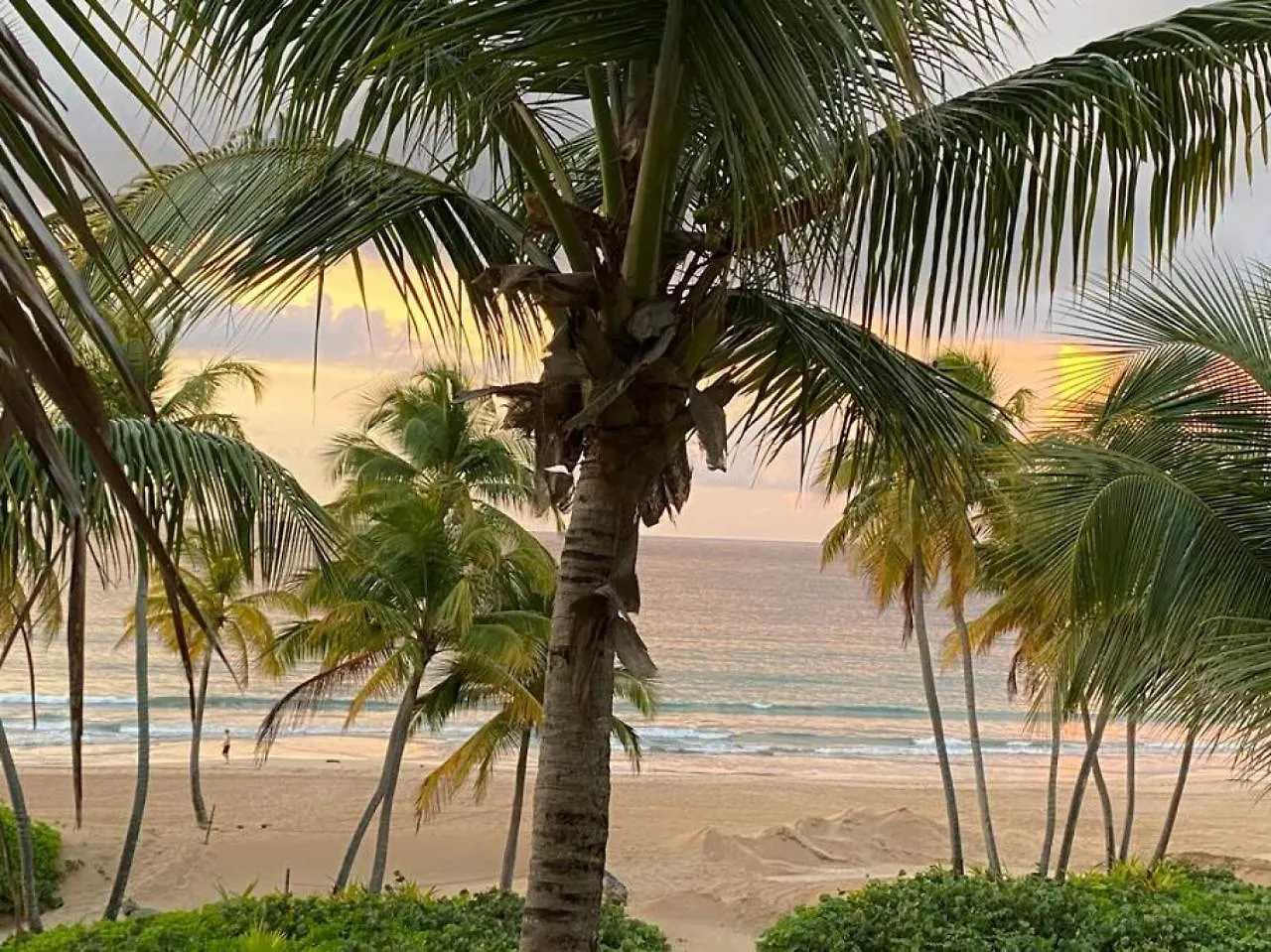 Luxury Beachfront 2 Bedroom At Wyndham Rio Mar, Pr Luquillo 0*,  Puerto Rico