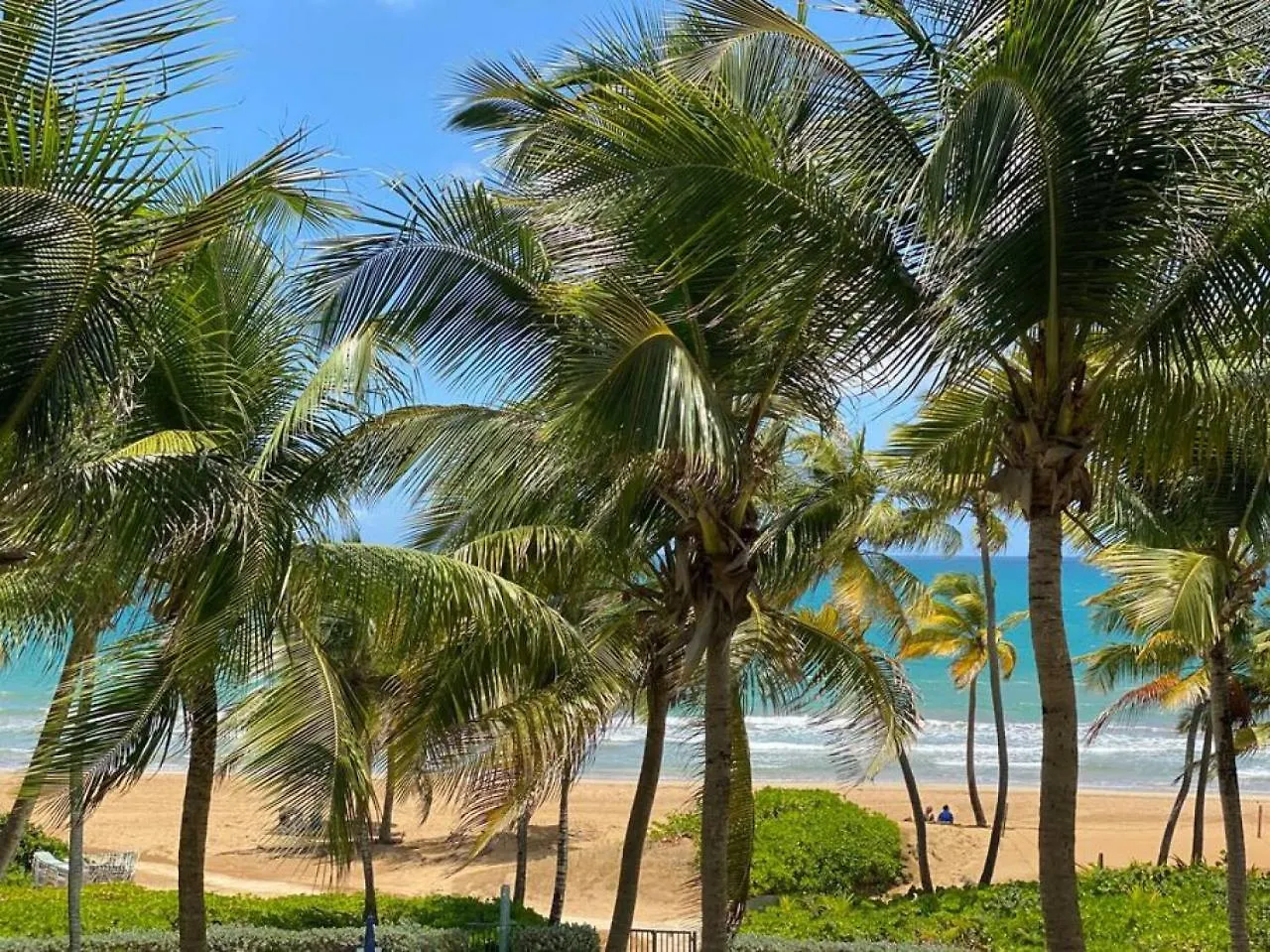 Luxury Beachfront 2 Bedroom At Wyndham Rio Mar, Pr Luquillo Holiday home