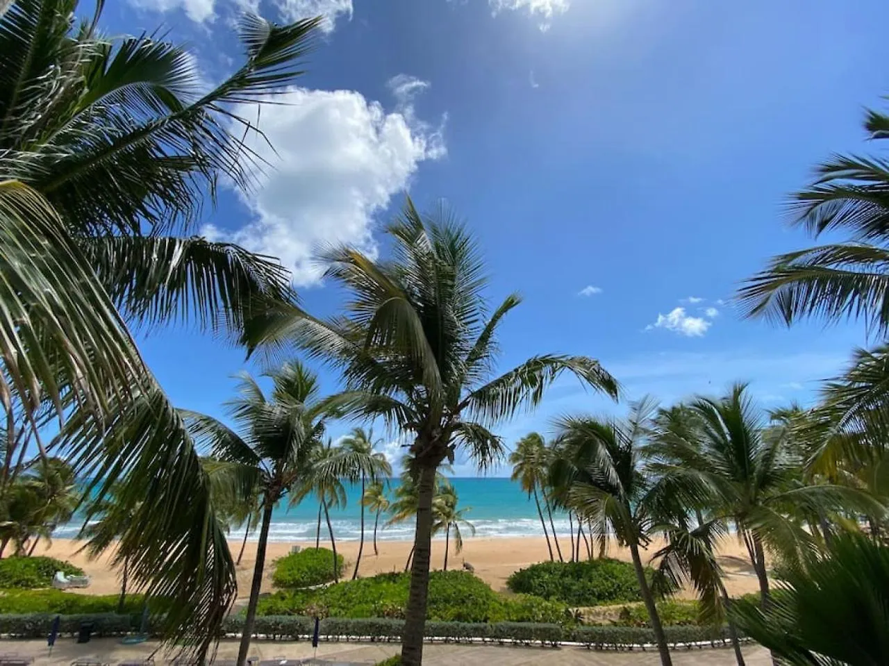 Luxury Beachfront 2 Bedroom At Wyndham Rio Mar, Pr Luquillo Holiday home